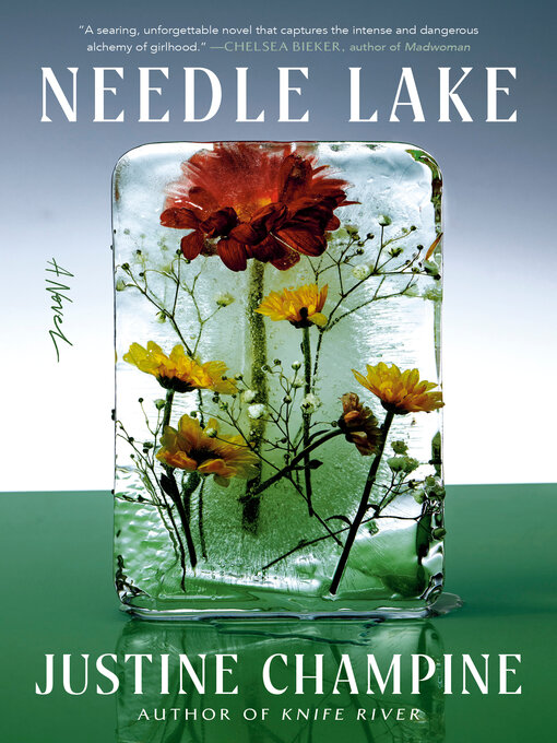 Title details for Needle Lake by Justine Champine - Wait list